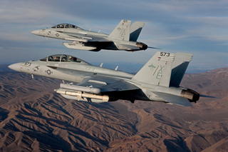 Illustration for article titled The Right Fighter For Canada Is The Super Hornet, Not The F-35